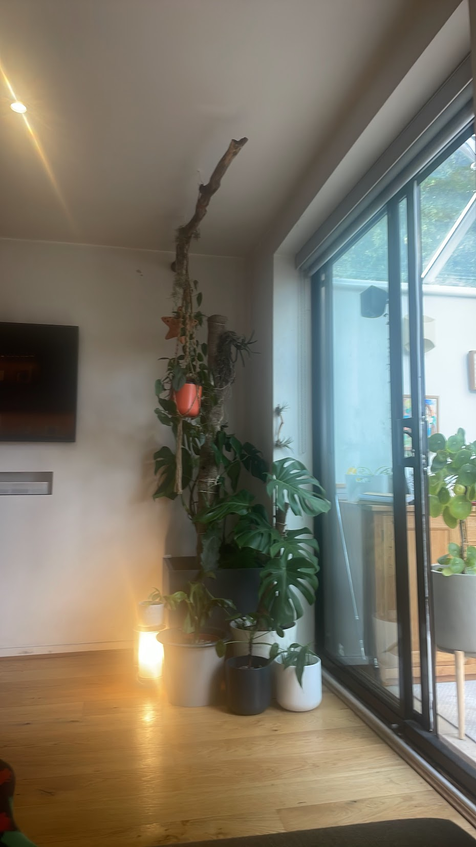 Living space with plants and surround sound. home Gym equipment to use