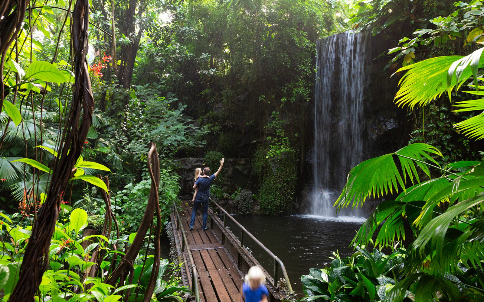 Esto está dentro del zoológico Royal Burgers, entra y experimenta la humedad, la densa vegetación, l ...