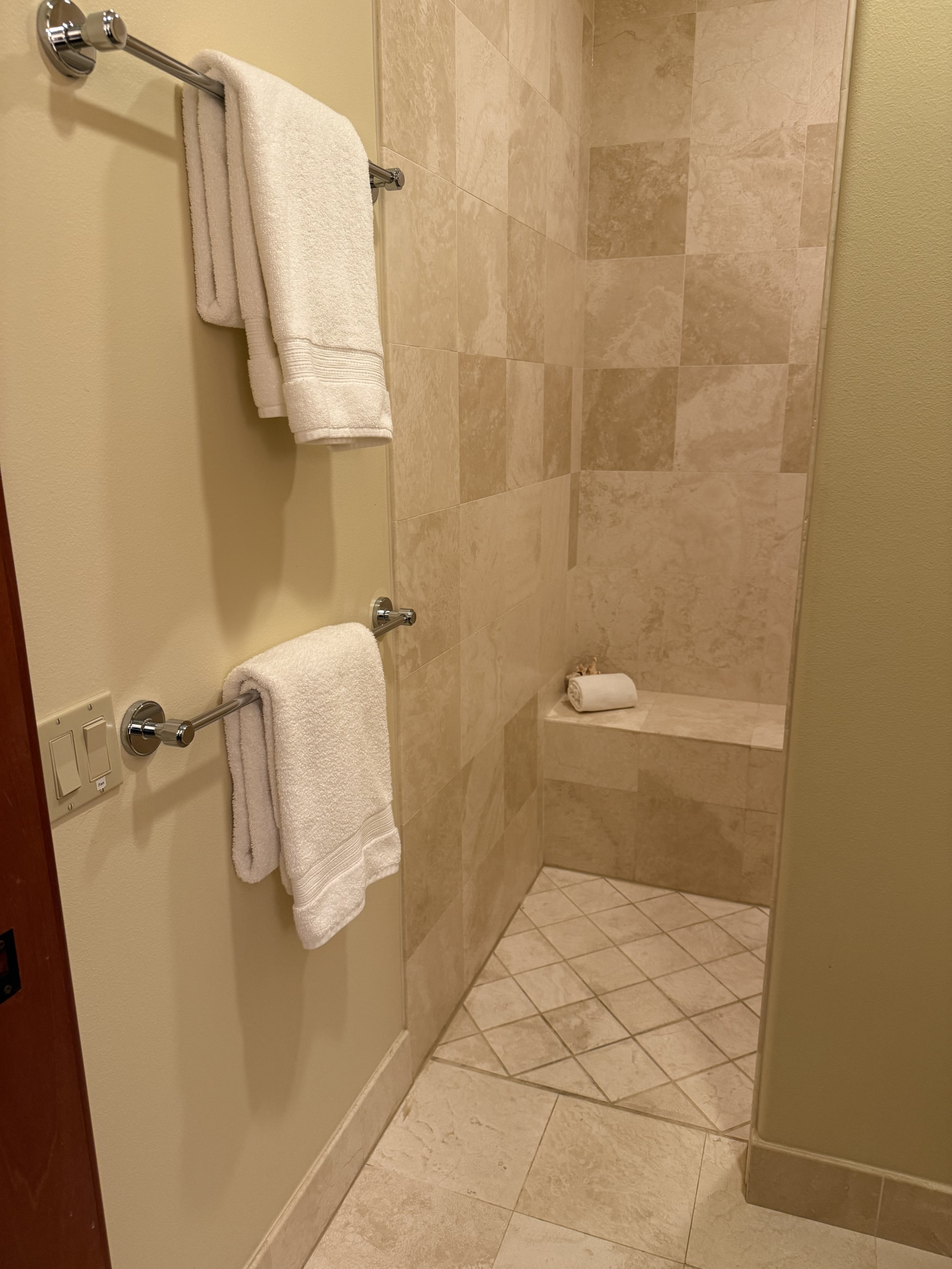 Beneden en-suite douche