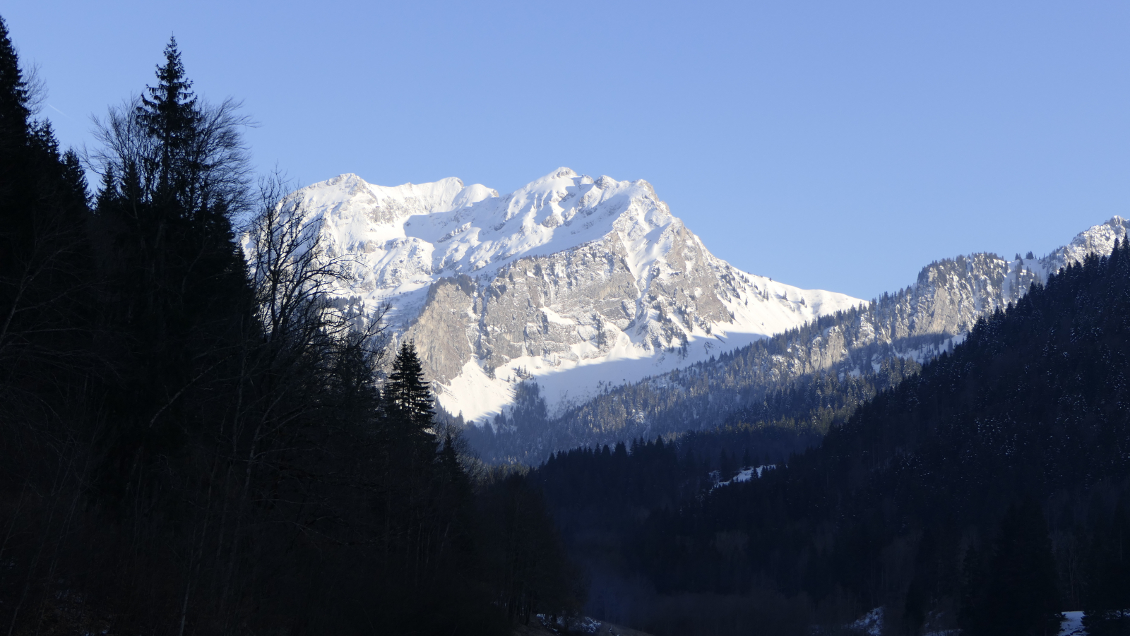 Le Roc d'Enfer: from the "Les Portes du Soleil" ski area; The goat farm, 20 minutes from the apartme ...