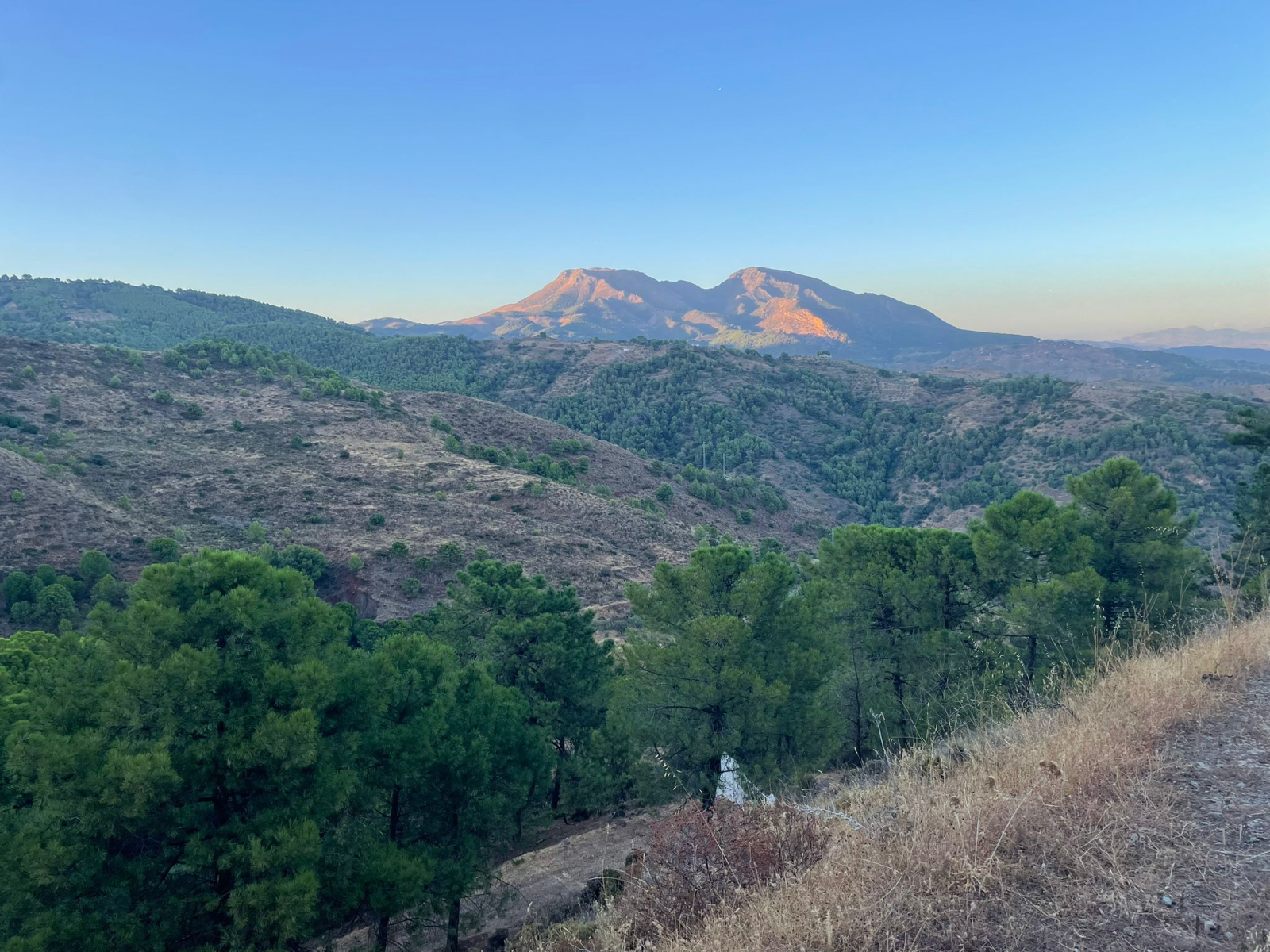 This is one of the views when you take a walk from our house