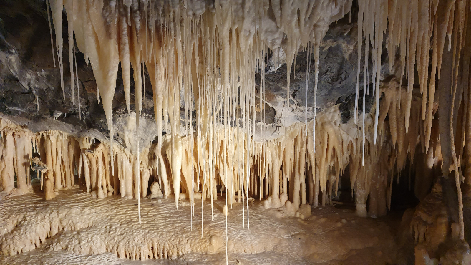 Grottes karstiques à proximité de Mole Creek