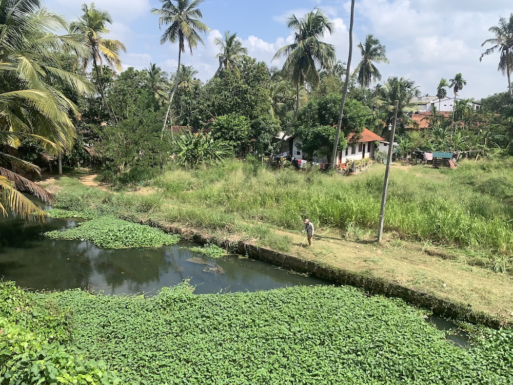 O canal Hamilton, agora coberto por vegetação por causa da estação das monções. Aqui você pode ver e ...