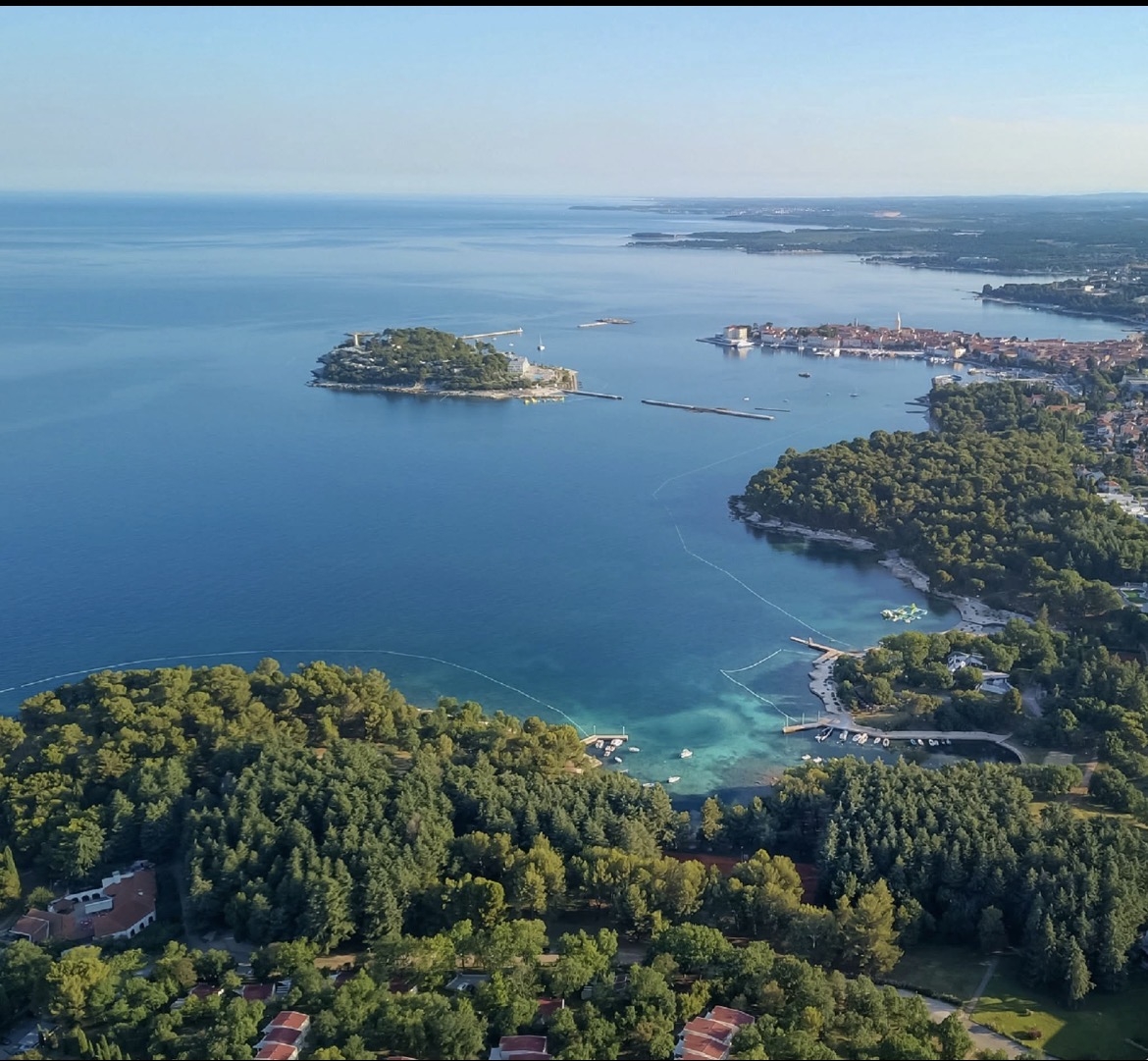 Poreč heeft stranden die worden beschaduwd door dennenbomen.