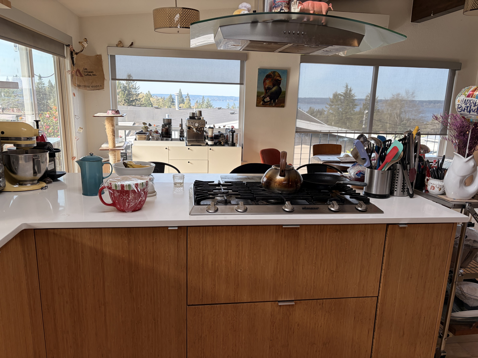 Mid century oasis with view of the Puget Sound