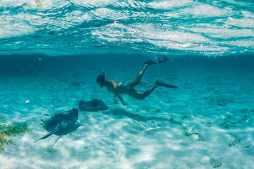 Meso American reef snorkeling