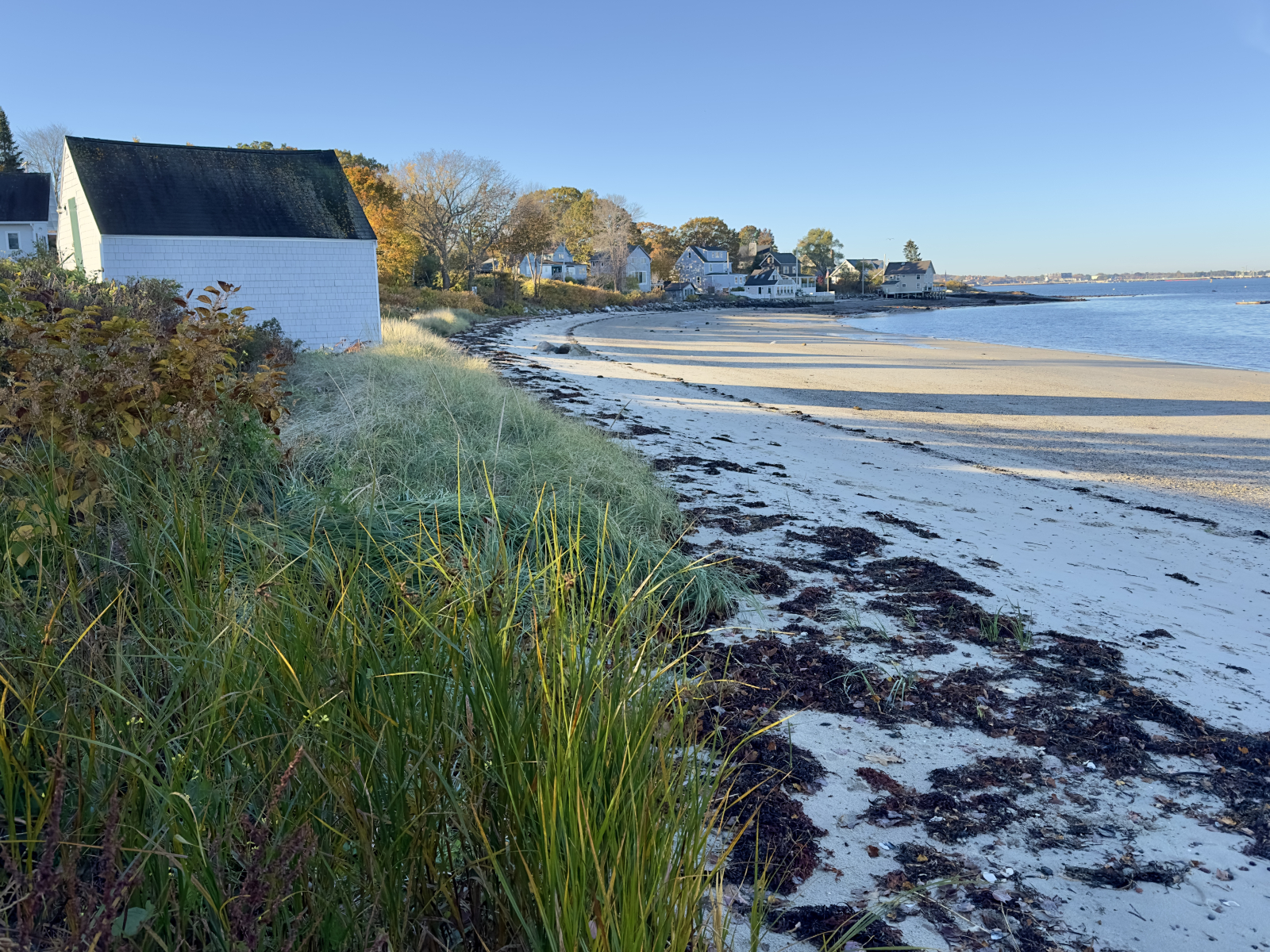 Morning on Centennial beach which is about  .2 km from our house.