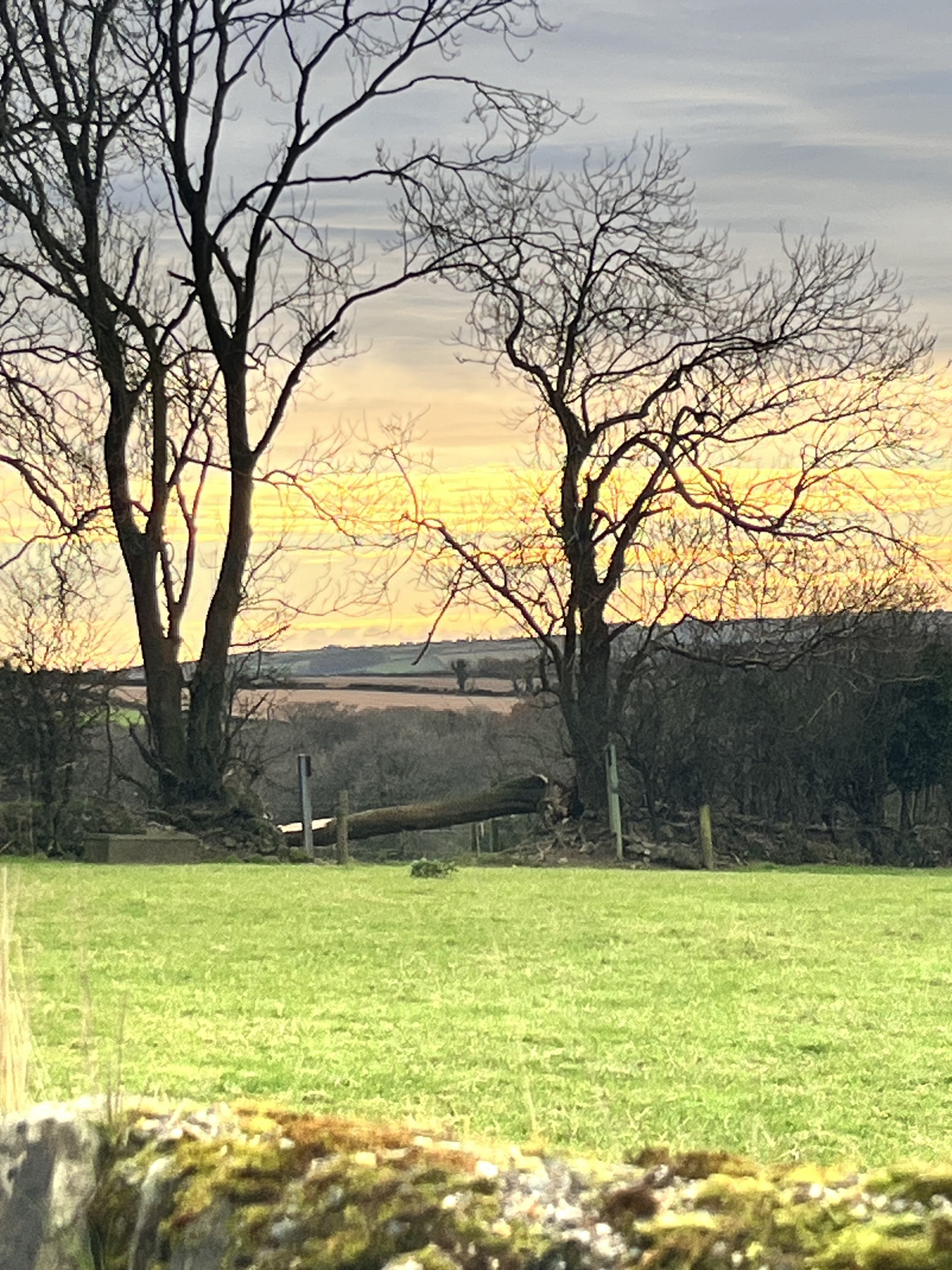 One of the views from our front door!