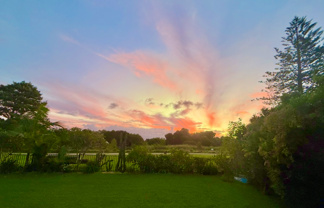La vista desde la parte trasera de la casa.  La casa se abre a una reserva natural y, aunque estamos ...