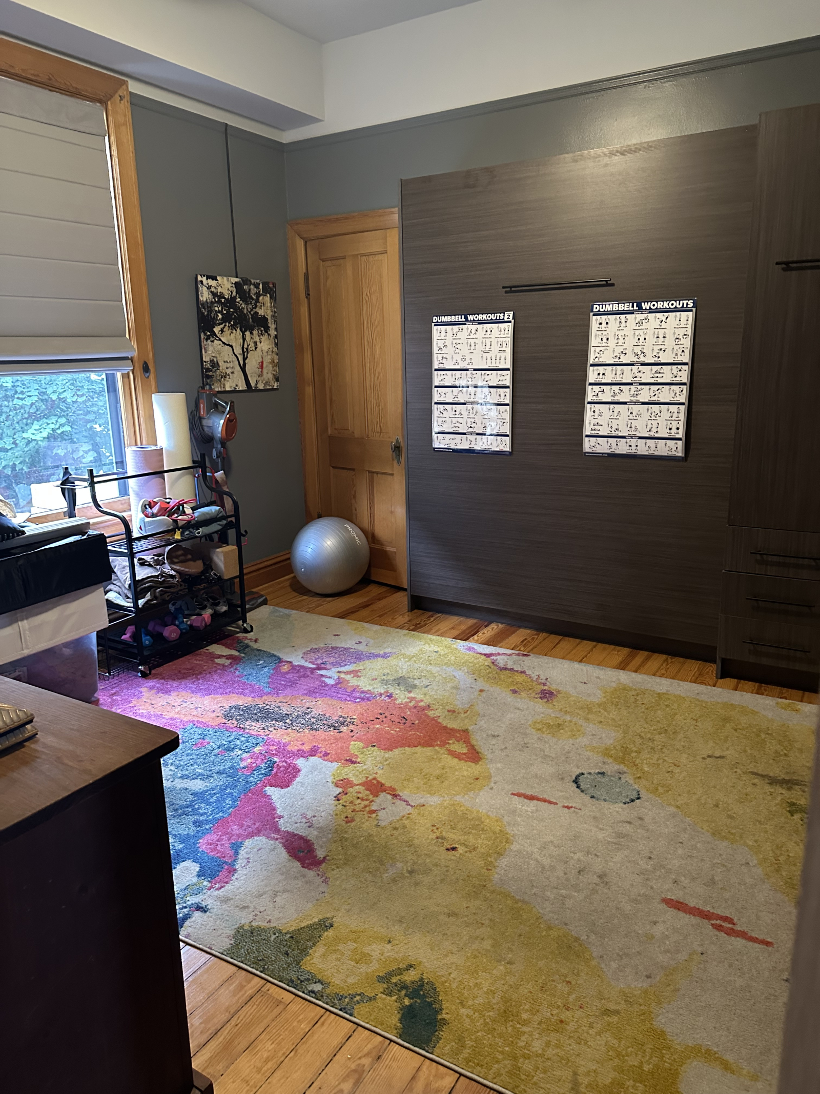 This room is a multi-purpose space; workout, or there's a queen sized murphy bed in the wall with a ...