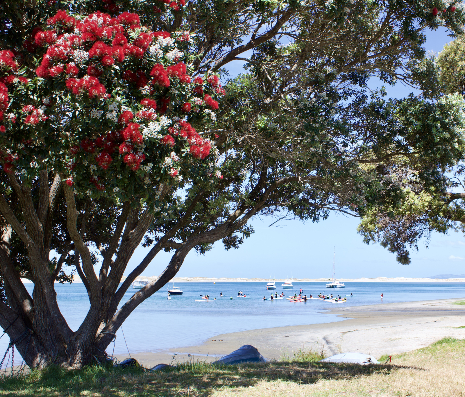 The estuary is 6 km long, so plenty of room for kayaking, paddle boarding, snorkelling, swimming, or ...