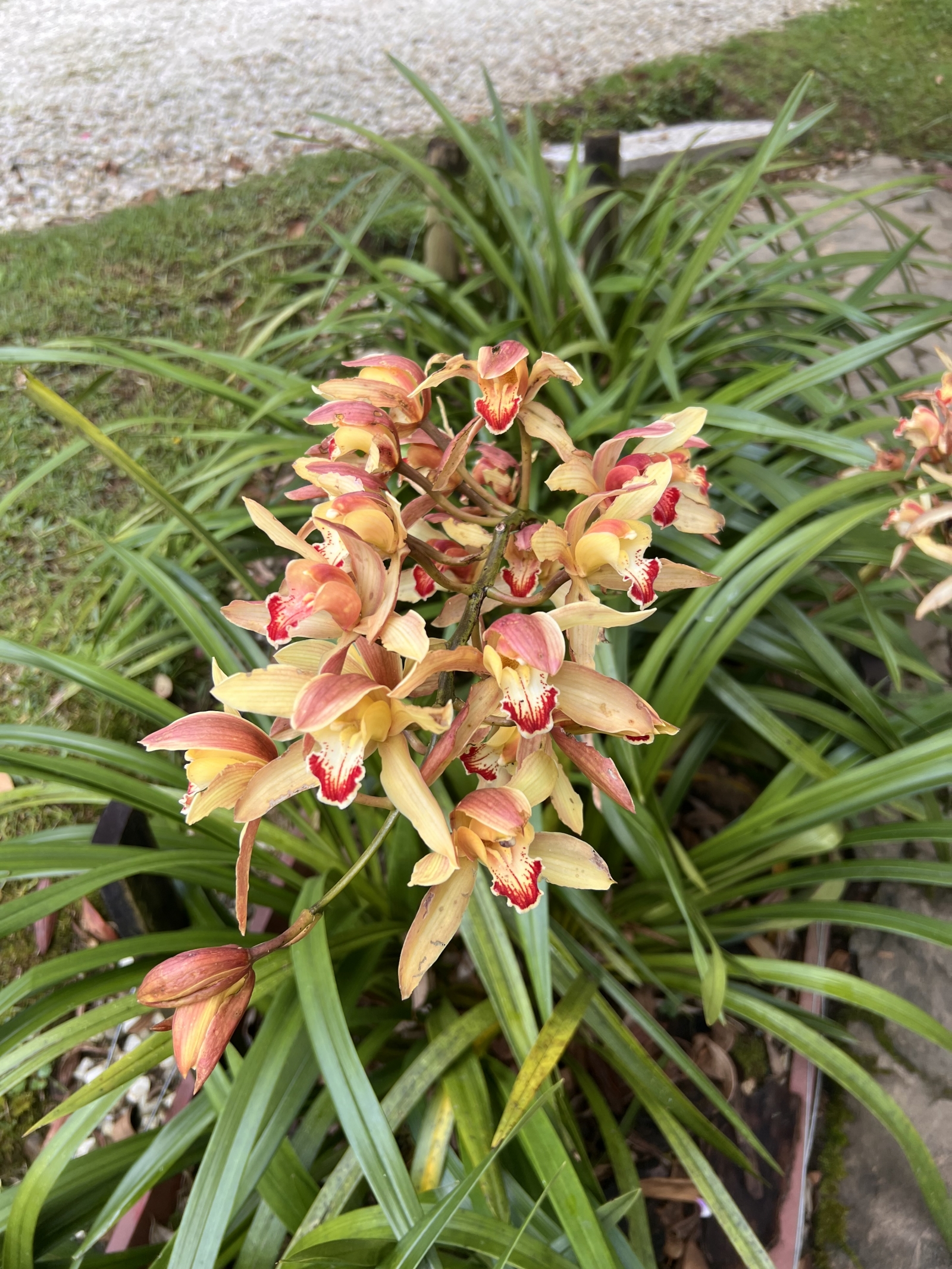 Medellín Mountain Sanctuary