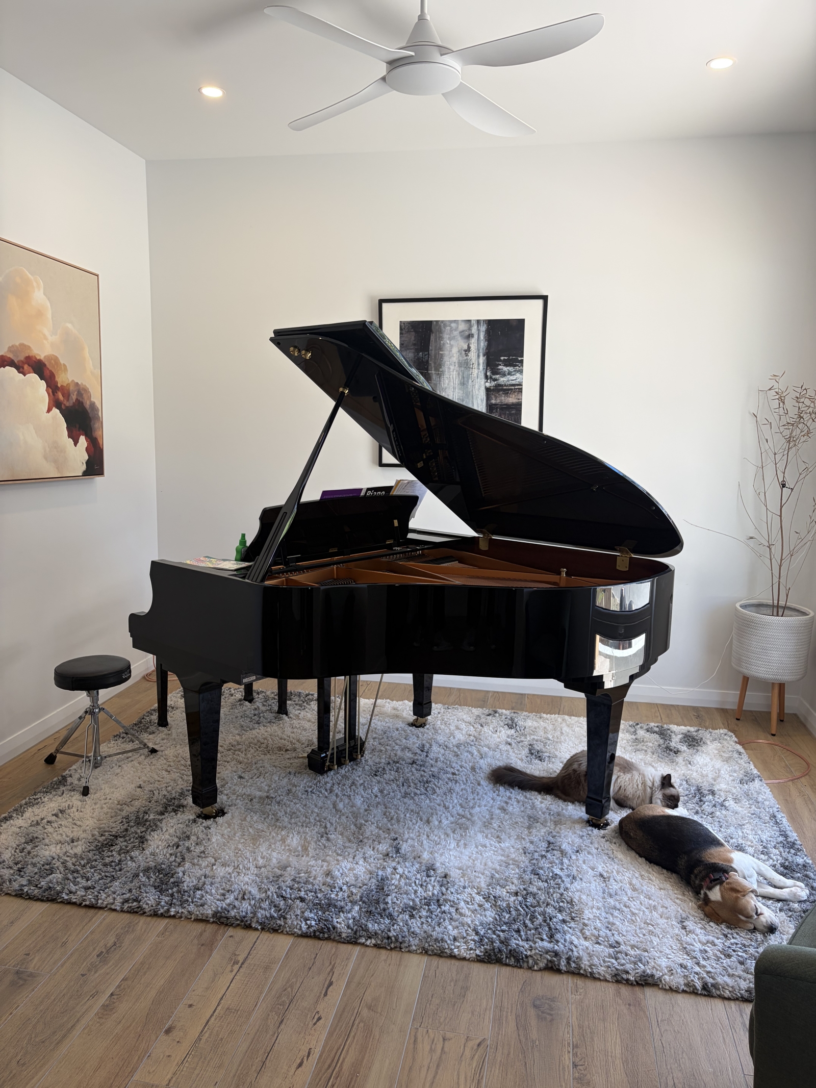 Nouvelle maison de luxe à Brisbane dans un cadre paisible de brousse