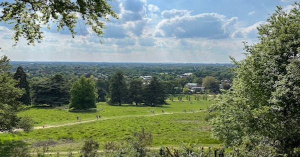 Family Home in London (Twickenham, Richmond upon Thames) | Fast Transport, Riverside & Local Charm