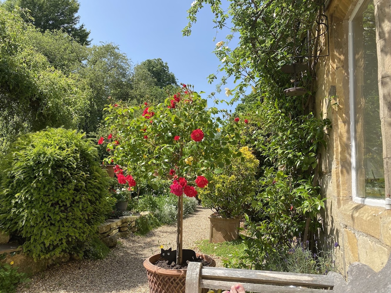 View from the bench at the front of the house. The kingfisher often flies here above the pond (behind the greenery on the left).