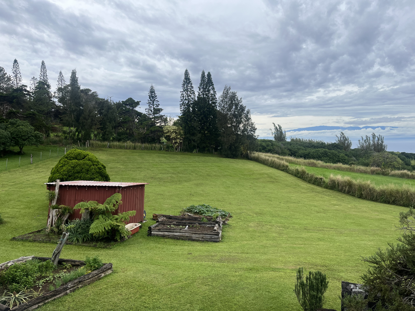 Maui und Gartenbeete neben dem Schuppen, Ausblick von der überdachten Veranda, die das ganze Haus überdeckt