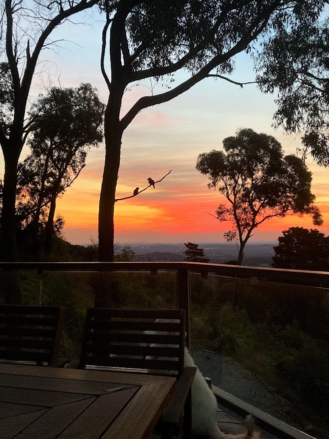 Thuis in de heuvels met uitzicht over de Yarra Valley en de skyline van het CBD, prachtige zonsondergangen en mini-geiten! <1 uur vanaf het stadscentrum