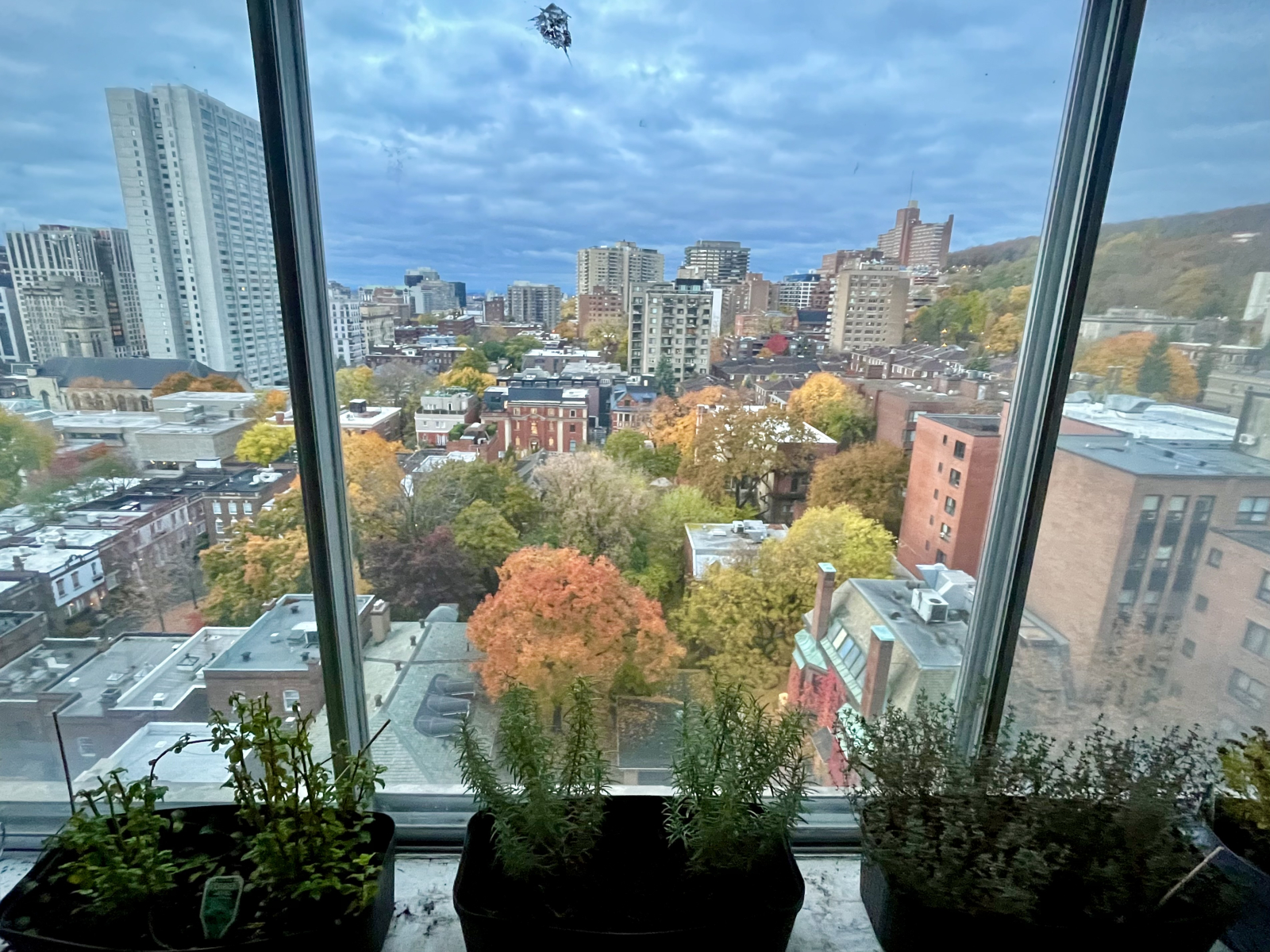 Ein Blick aus meinem Wohnzimmer.