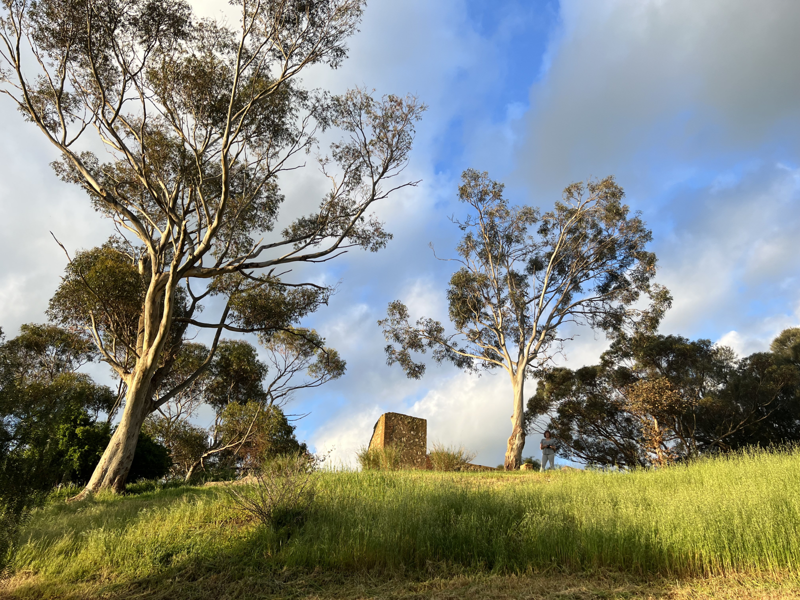 Notre grand open space