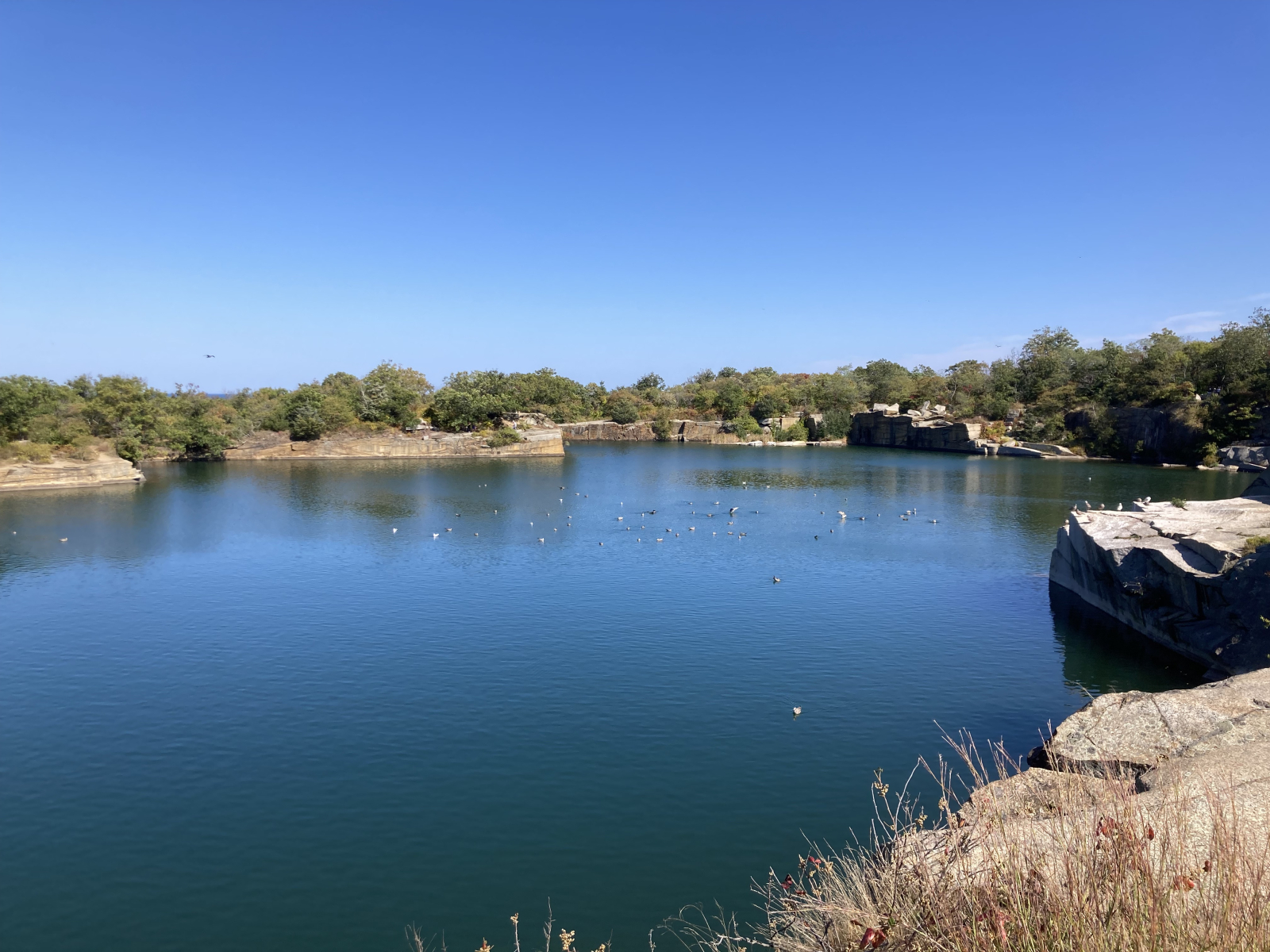 Halibut Point en Rockport: antigua cantera de piedra ahora un parque estatal