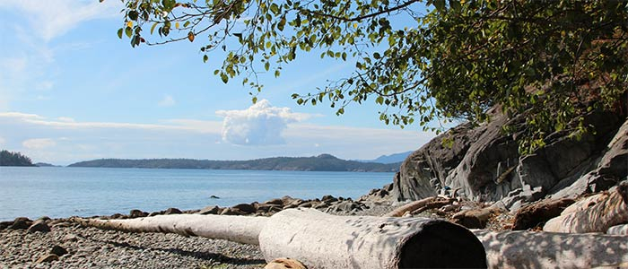 Explore Frances Beach, a ten minute walk away.