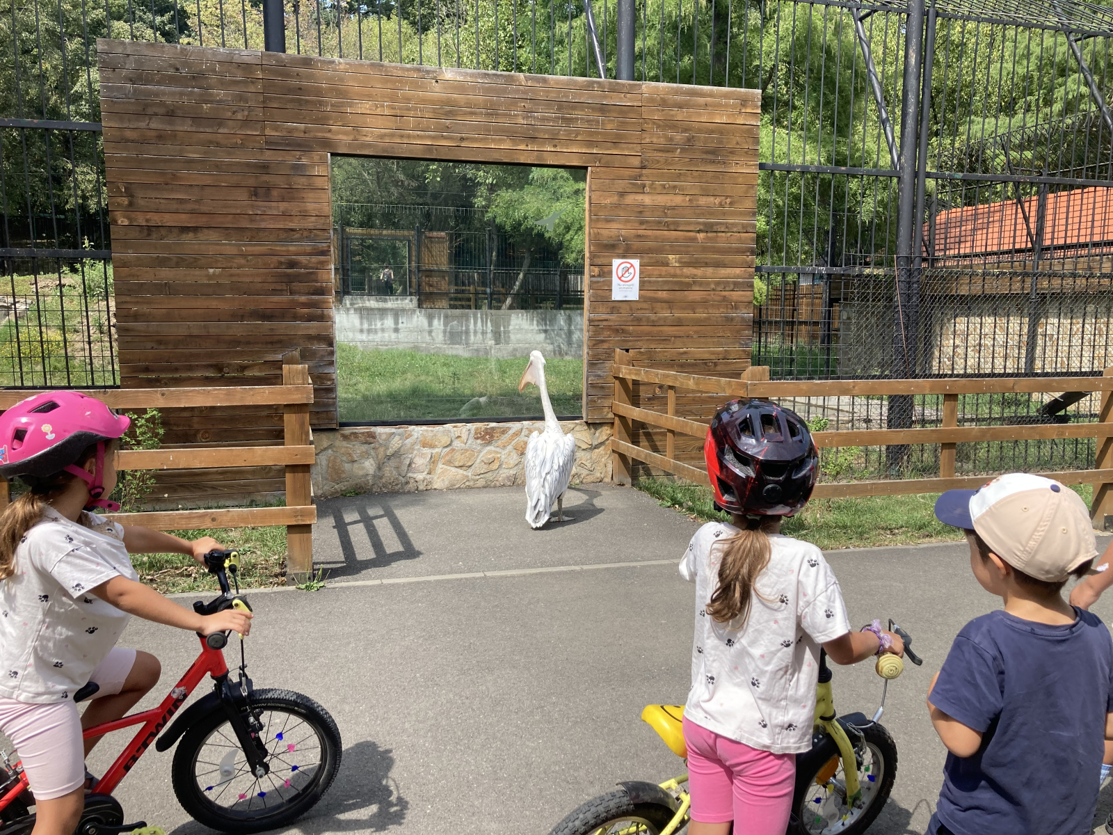 Casa e aproape de Zoo si de Muzeul Satului, un muzeu in aer liber unde poti vedea cum se traia odata ...