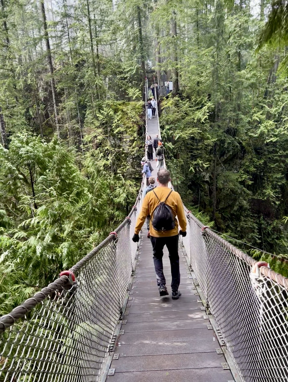 Puente colgante del Cañón Lynn