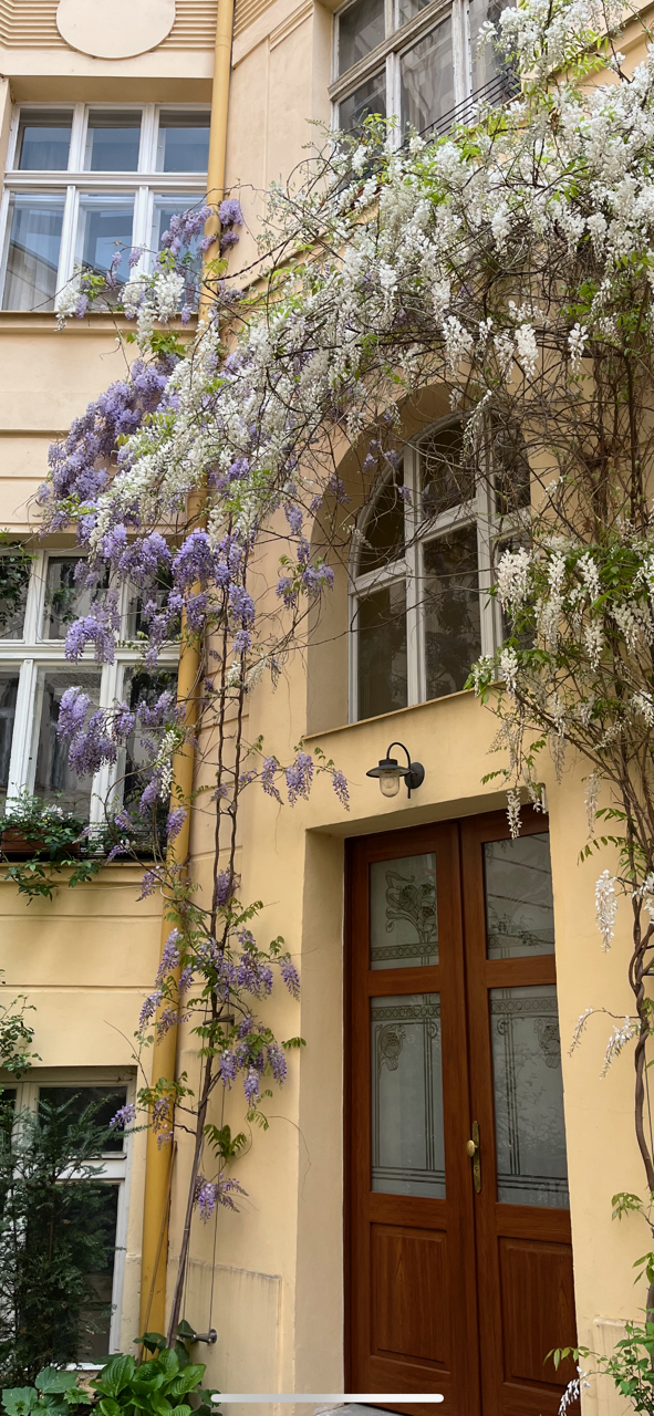 Our building is located on a quiet courtyard behind the main building. The courtyard boasts a mature ...