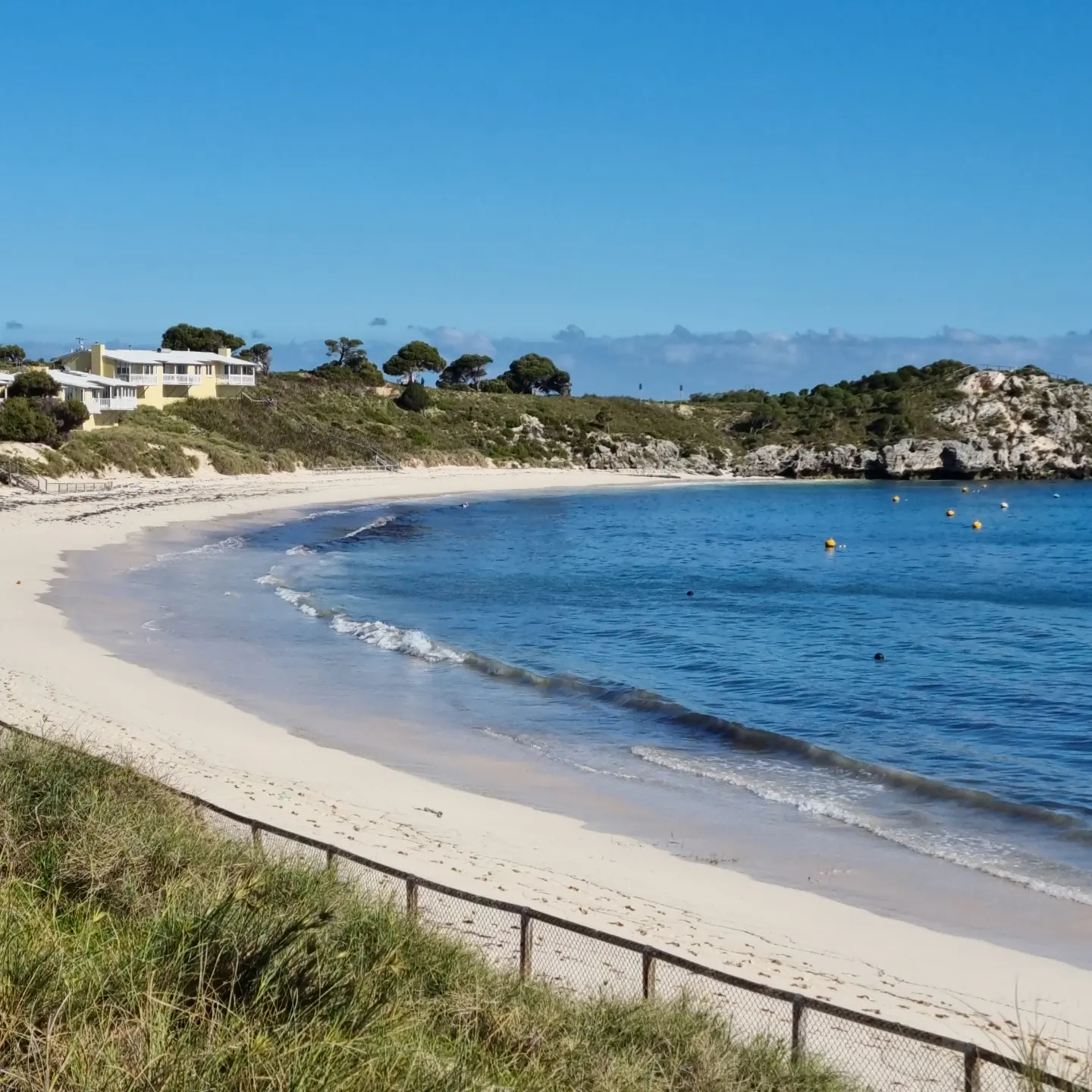 Rottnest Island 45 minuti di traghetto