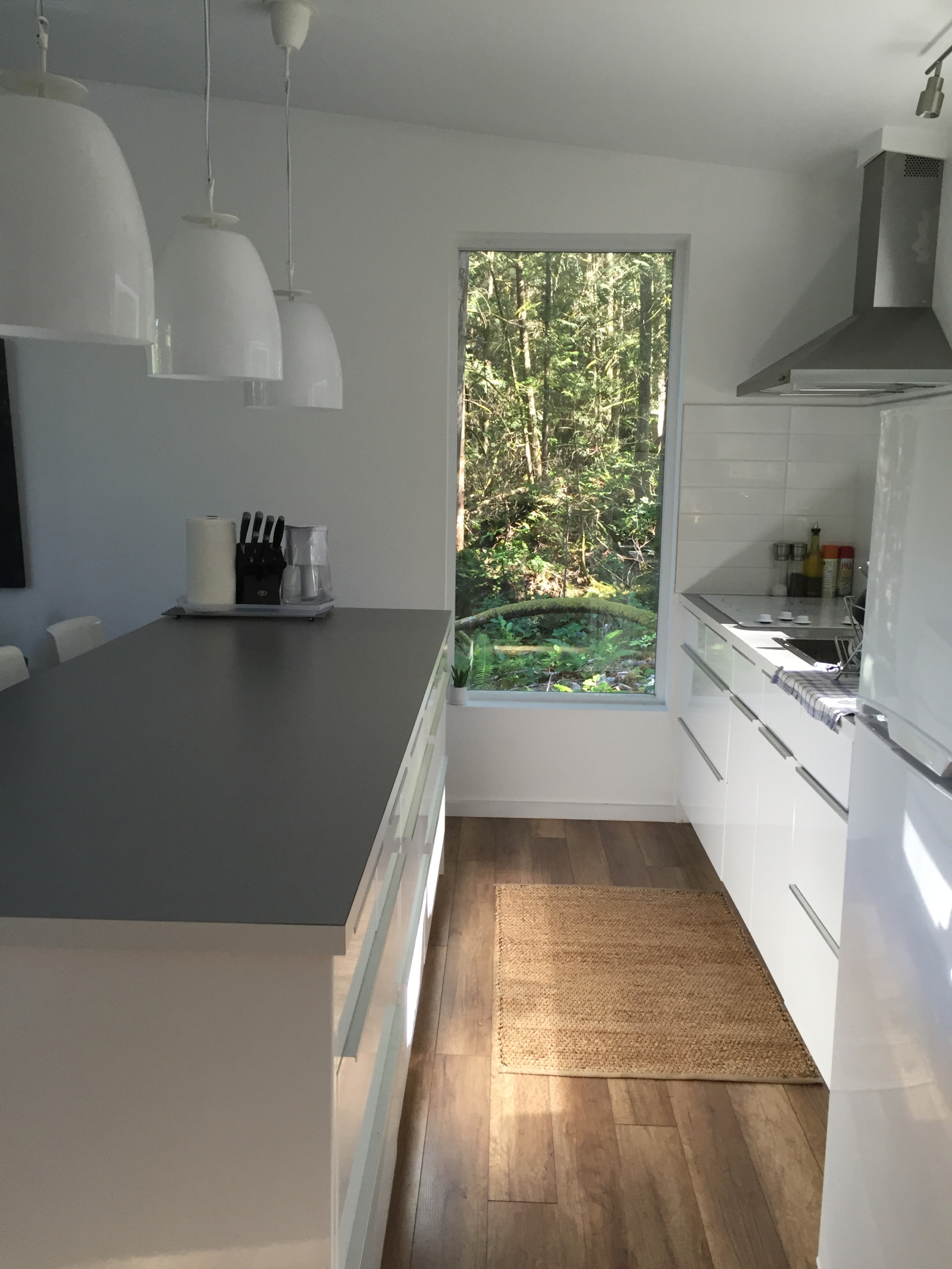 8 Fuß lange Insel in der Küche mit übergroßem Fenster zum Wald dahinter