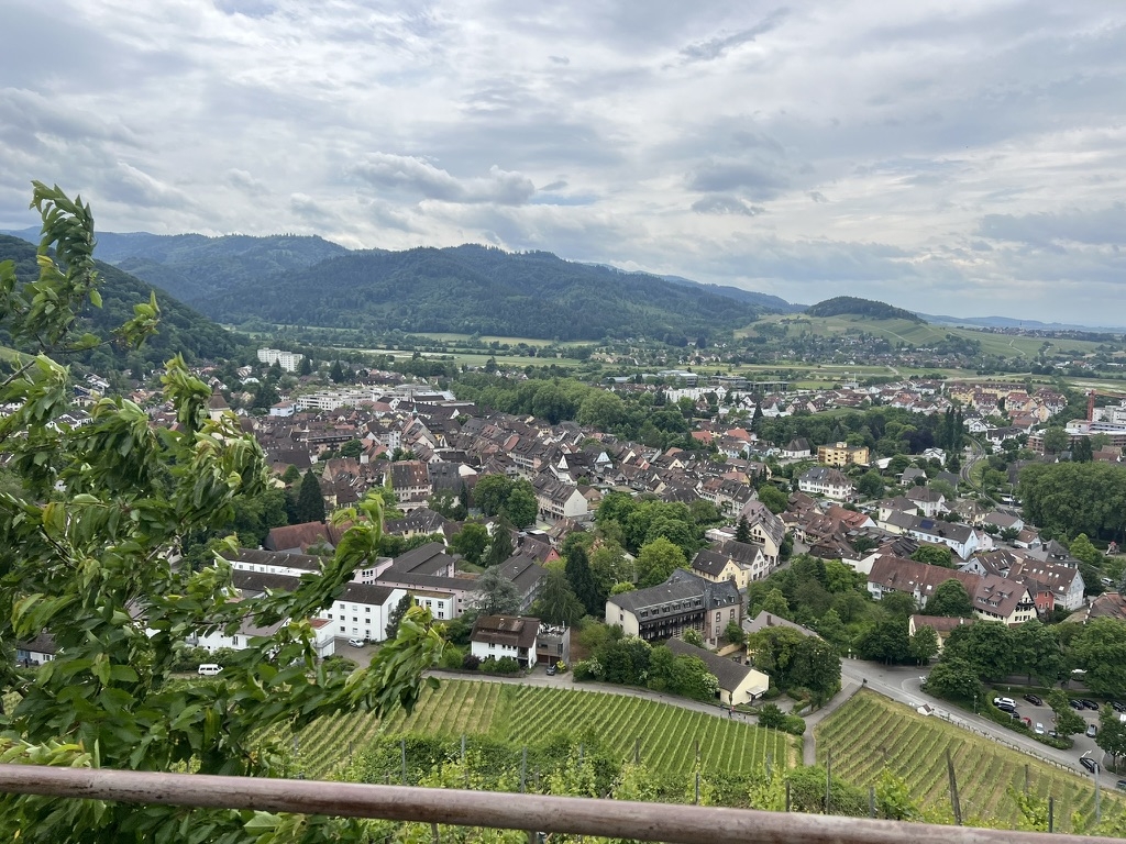 Zwischen dem Schwarzwald und den Weinbergen des Elsass