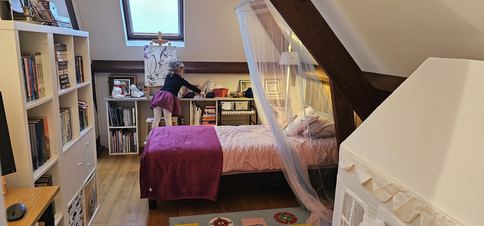 Second upstairs office is also the princess room