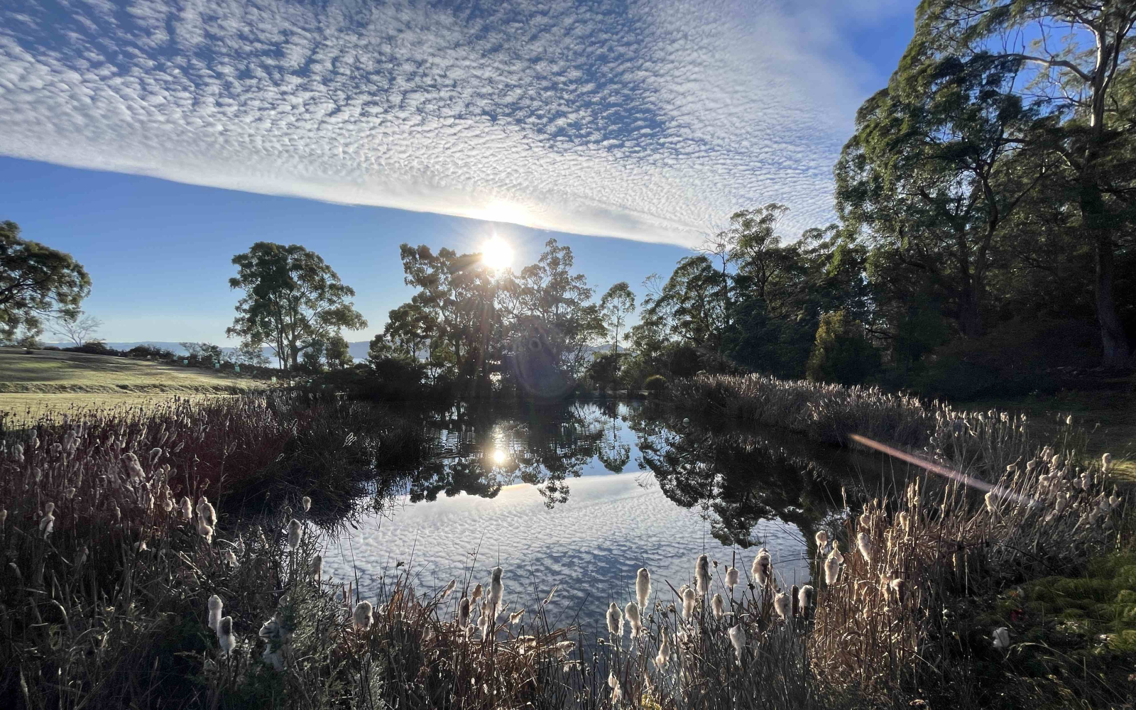 Ce magnifique grand barrage se trouve sur la propriété commune et est un refuge pour un large éventa ...