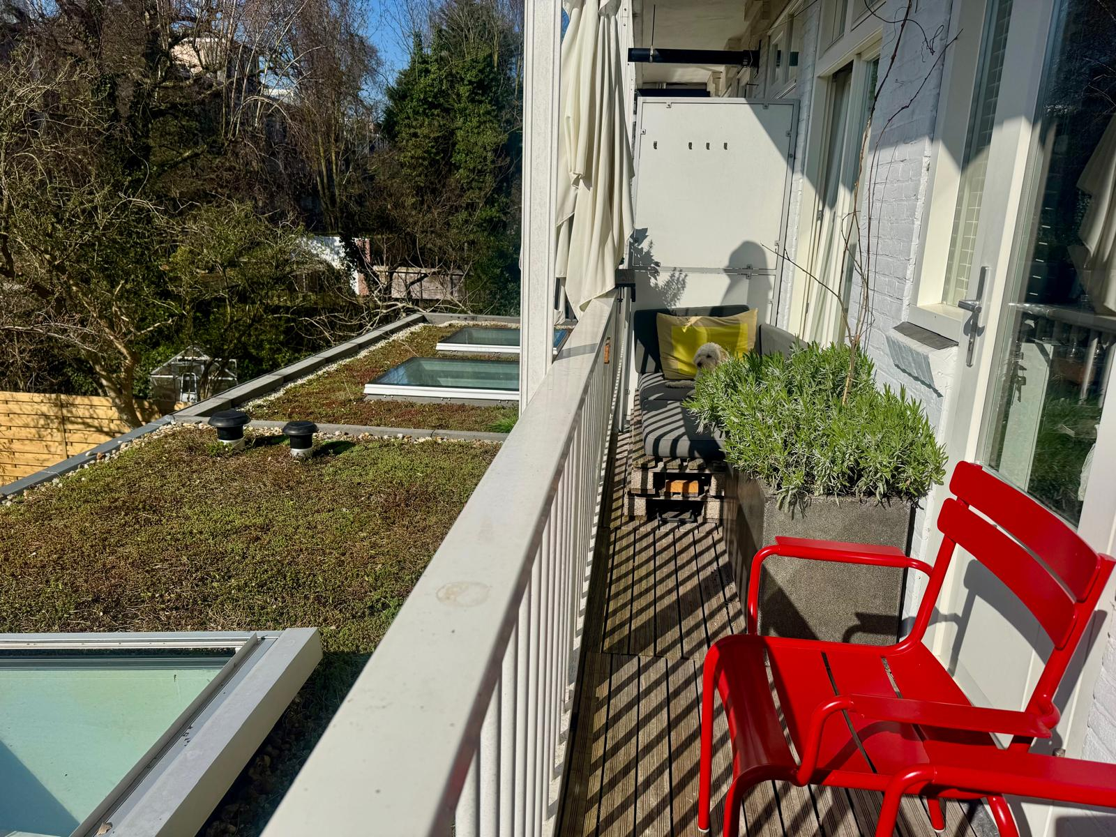 Gemütliches Zuhause in Amsterdam