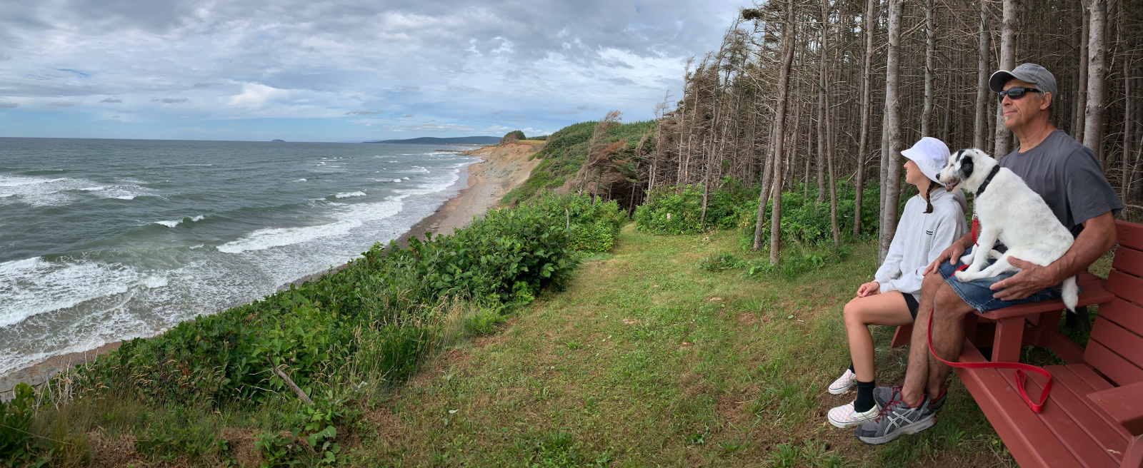 Beach overlook with bench