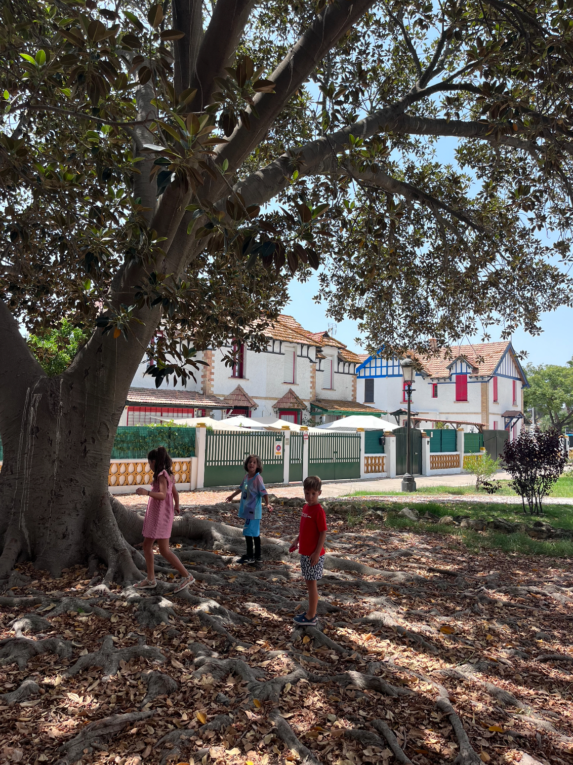 Charming British-Andalusian little Cottage in city centre close to amazing beaches