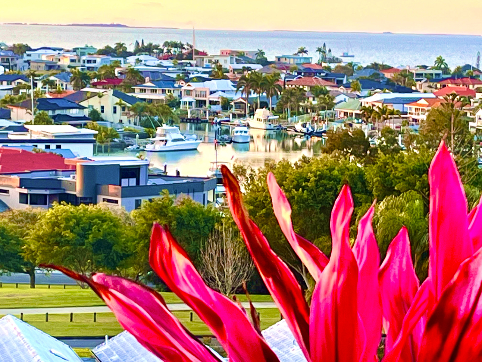Vue depuis la véranda