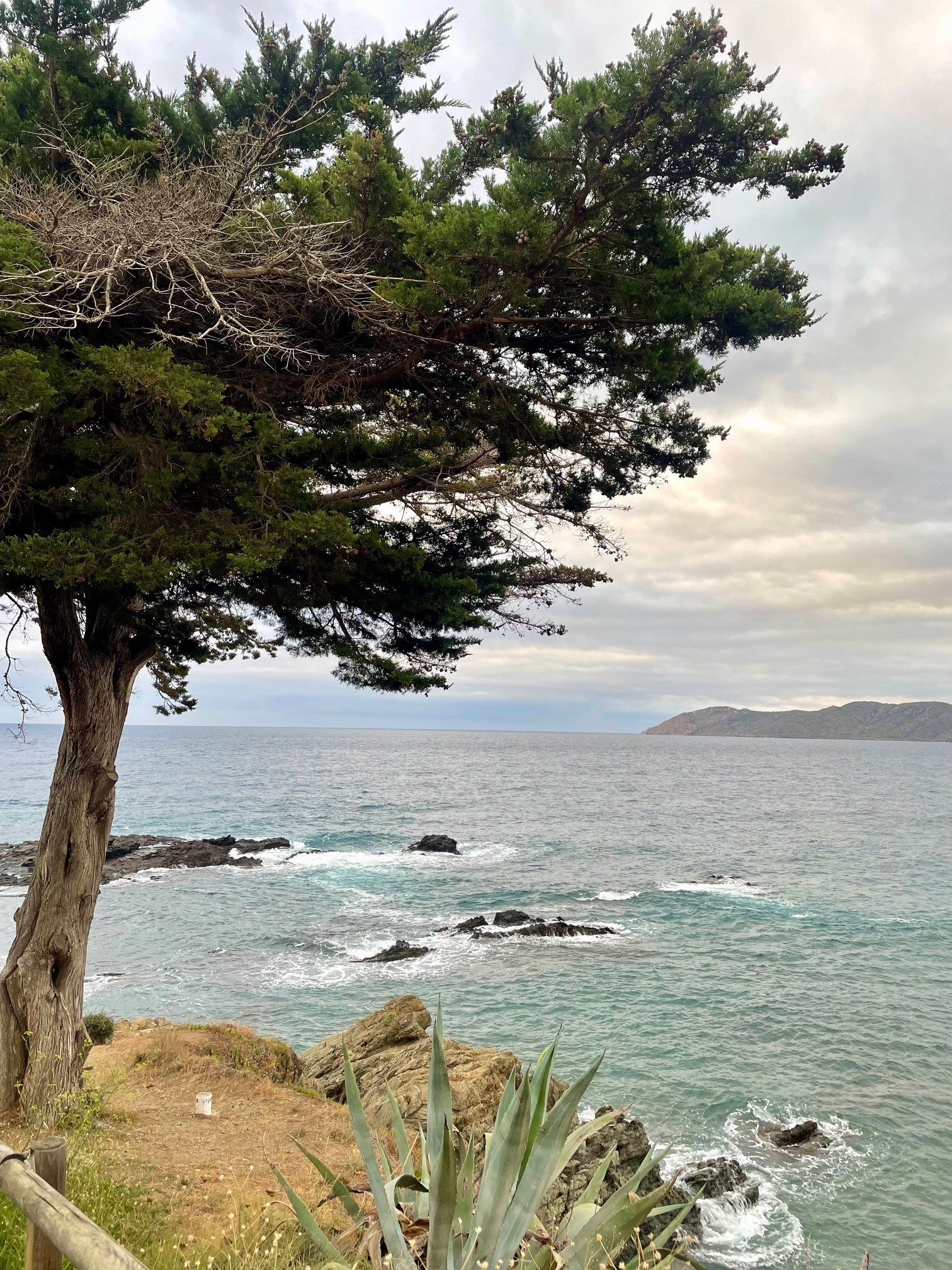 Litoral deslumbrante