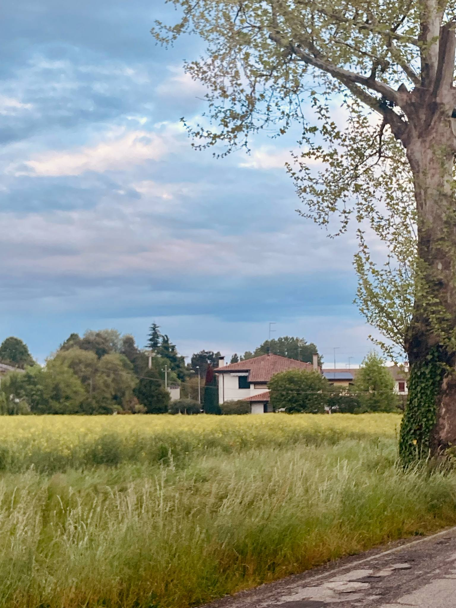 Venice mainland countryside home