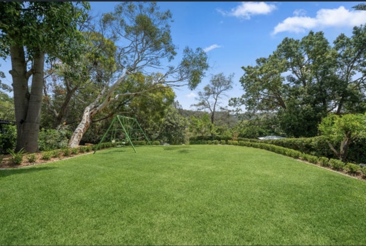 Back garden