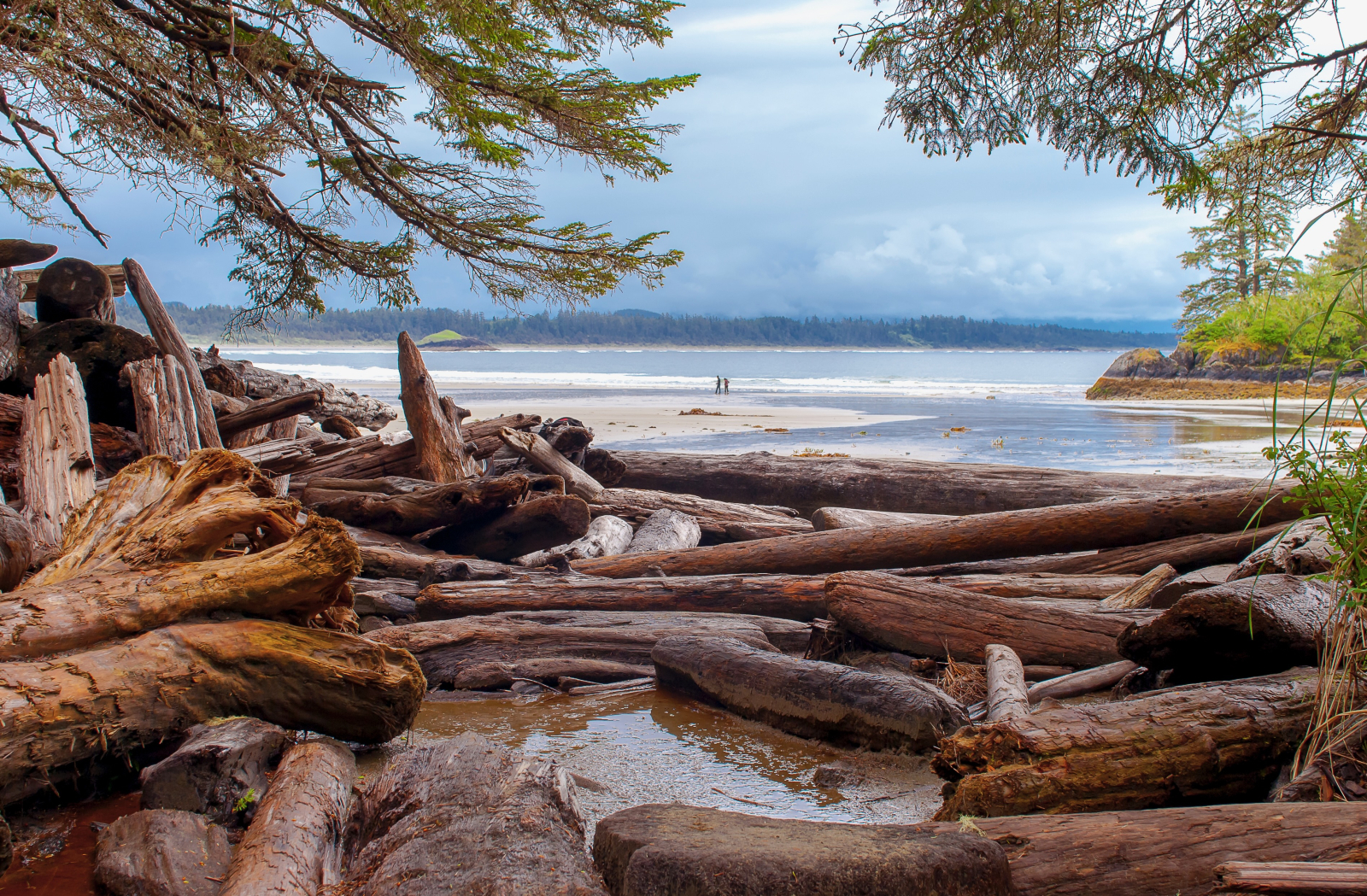 Parco nazionale del Pacifico.
