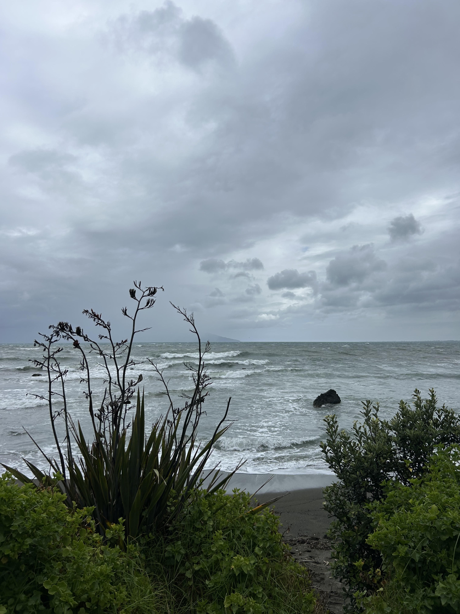 Family home in beachside suburb