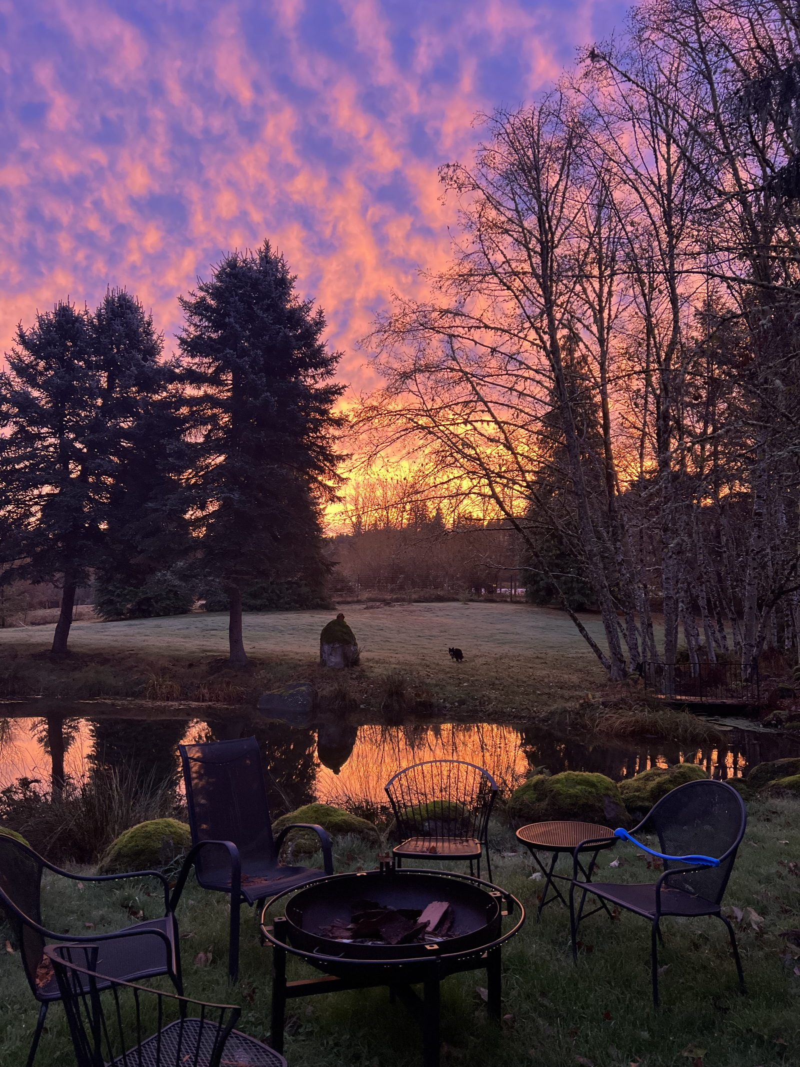 Resort-achtige oase in Oregon, huis met 3 slaapkamers op het terrein, dichtbij Mt Hood en Portland
