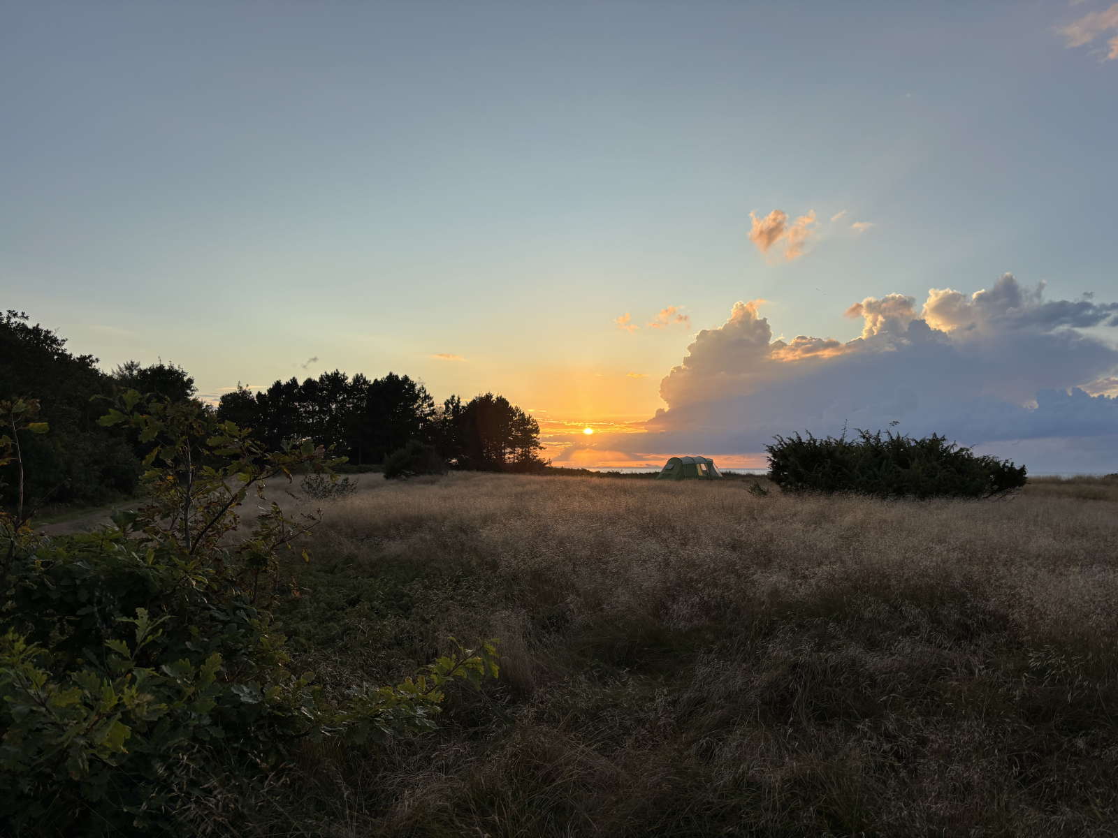 Littoral/forêt près de la maison