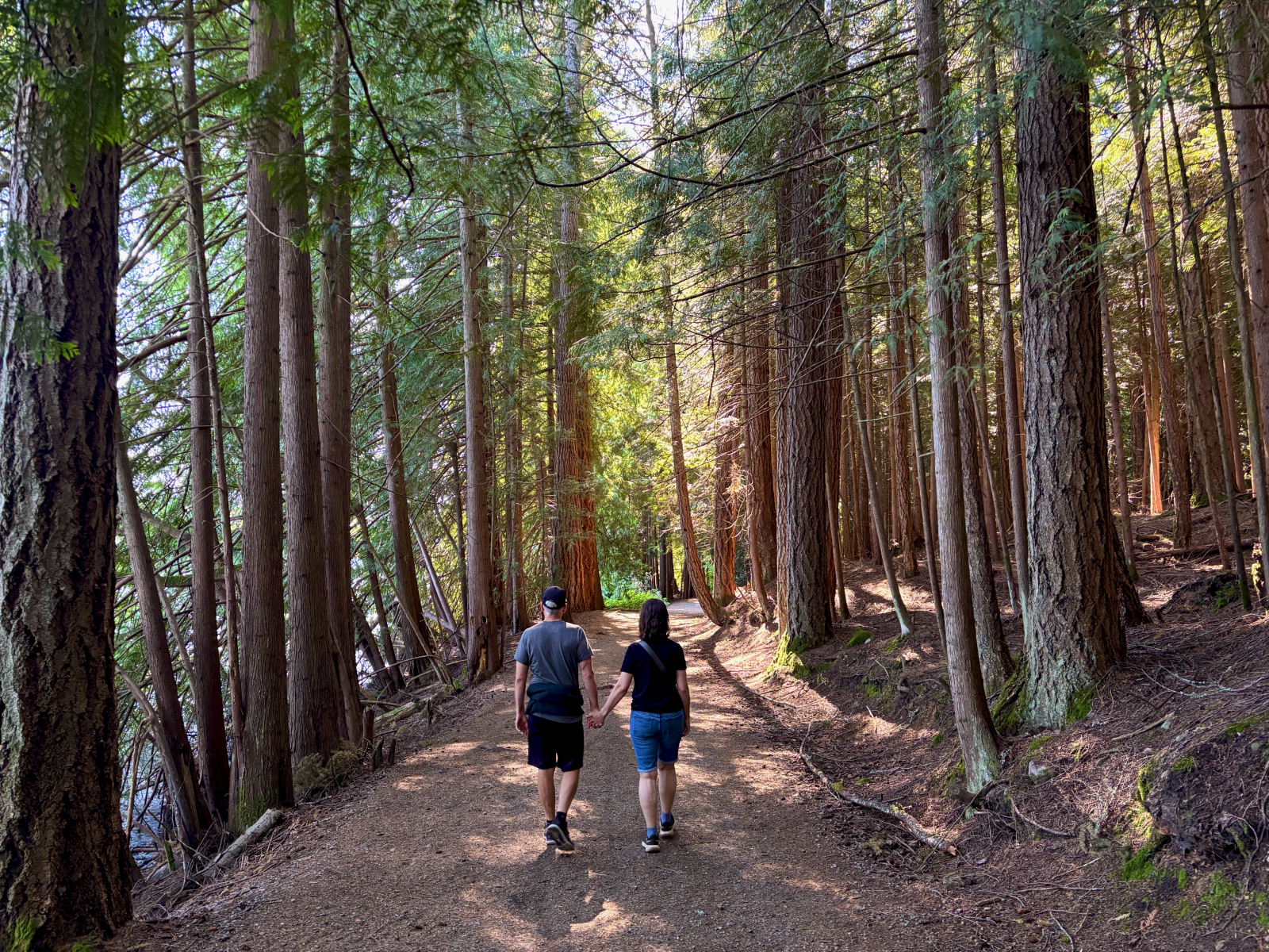 Sette chilometri di sentiero intorno al lago Westwood è a 1 minuto a piedi da casa nostra.