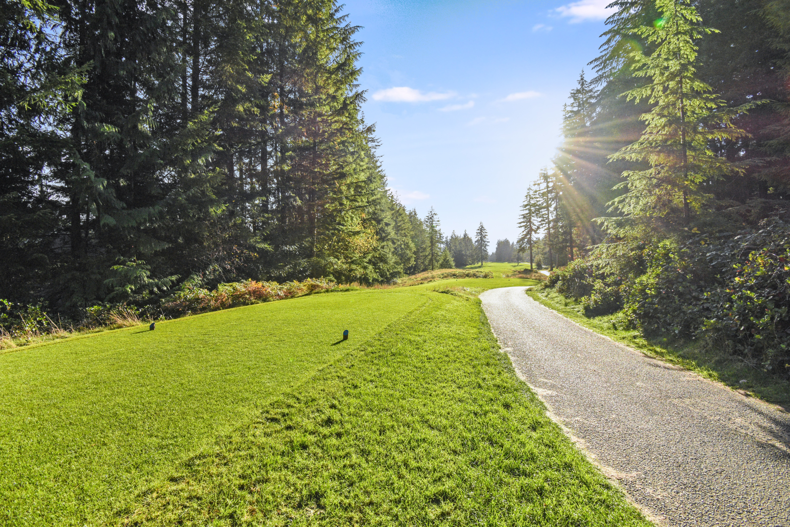 Il bellissimo campo da golf McCormick Woods si trova a meno di un miglio di distanza.