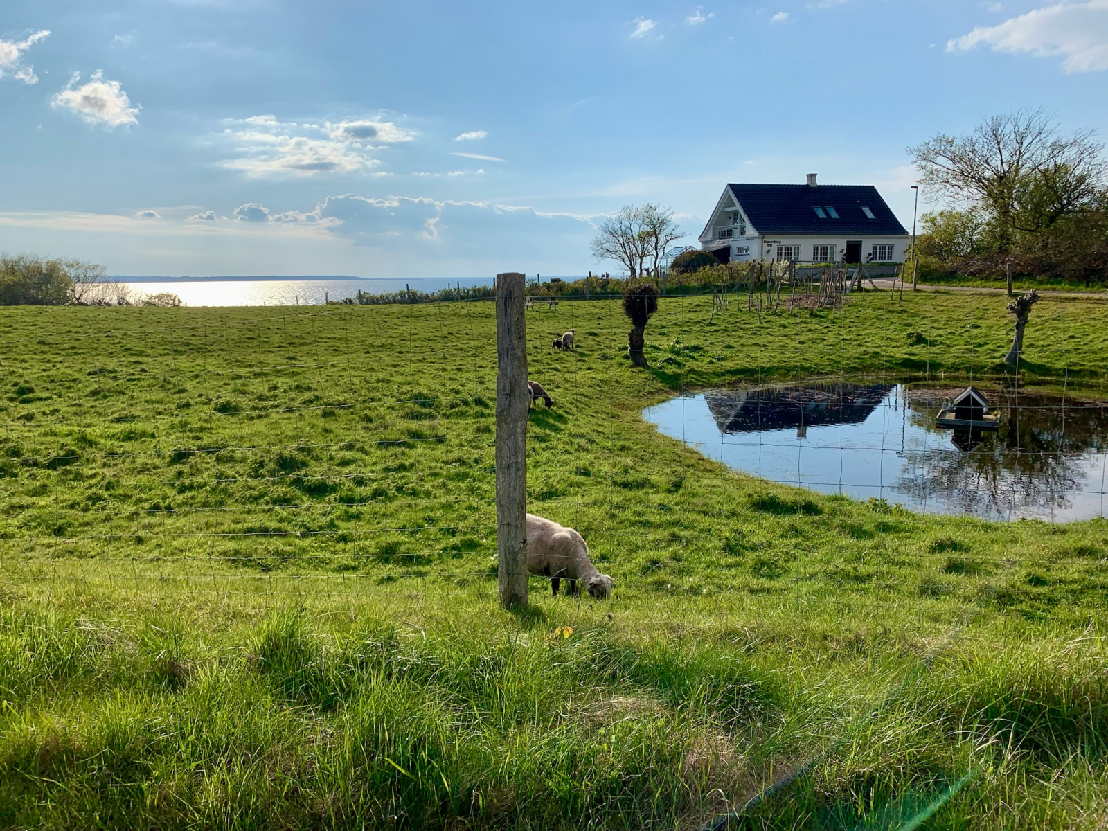 Cozy home in coastal Danish town