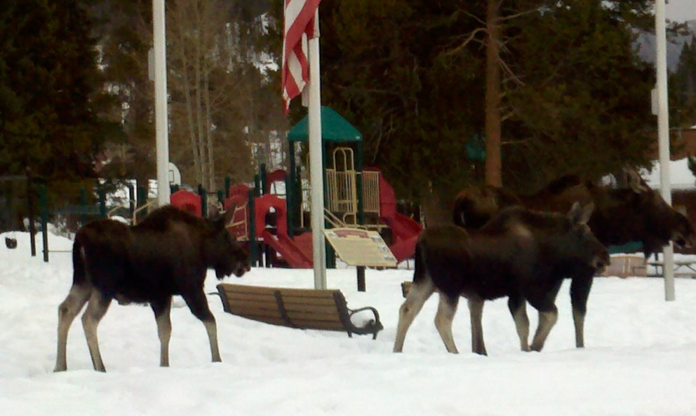 Mamma e gemelli che camminano nel centro della città
