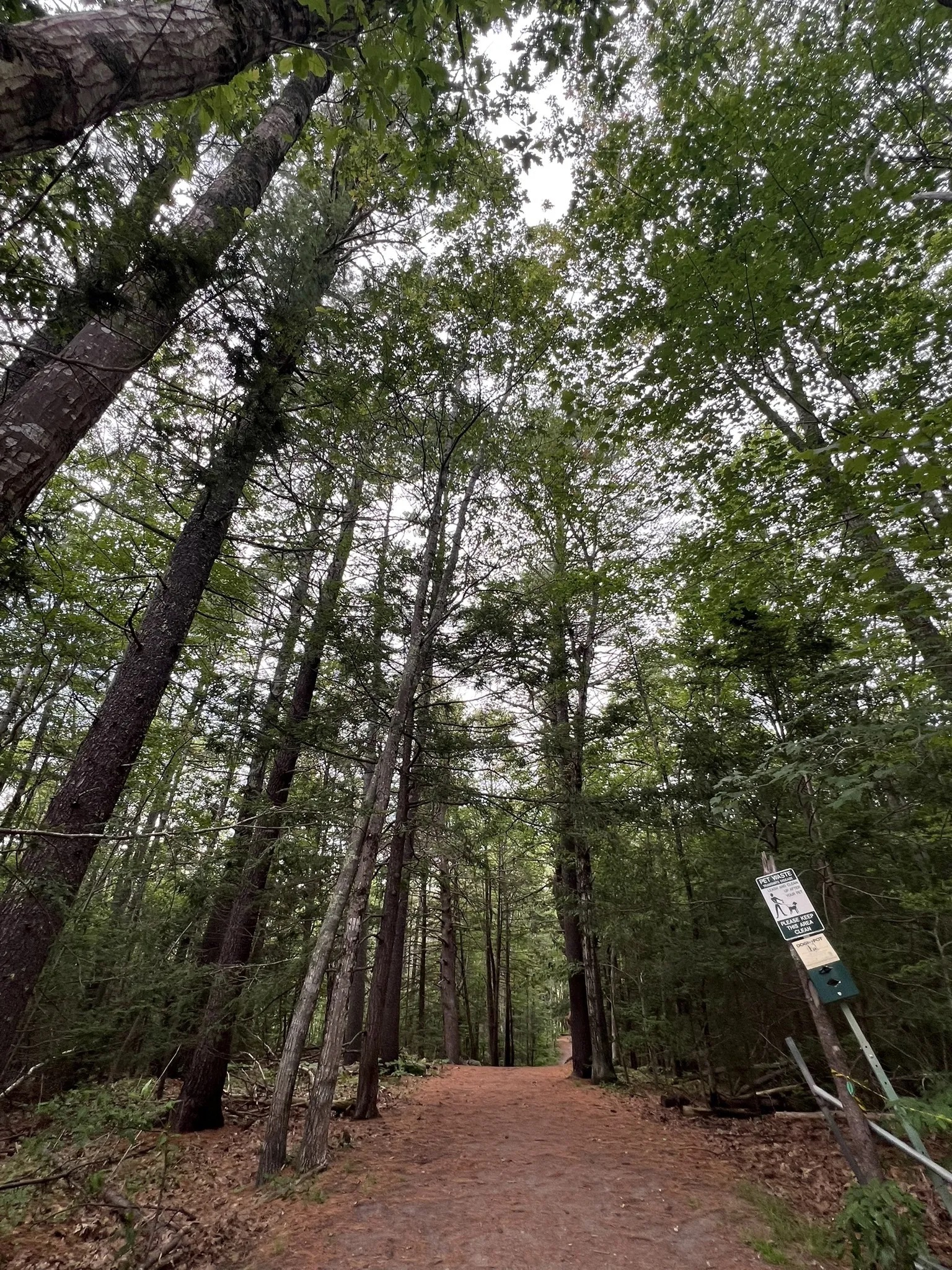 Short walk to Kennebec Estuary, Thorn Head Preserve and Whiskeag Trail system

5 miles of hiking a ...