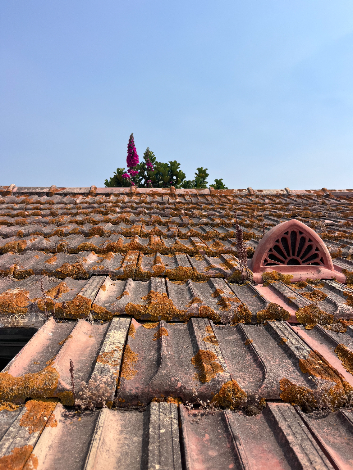 Charming British-Andalusian little Cottage in city centre close to amazing beaches